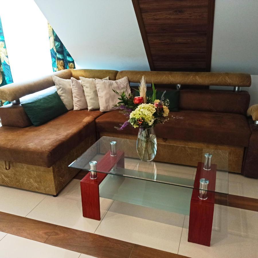 Wasielowka Apartment *