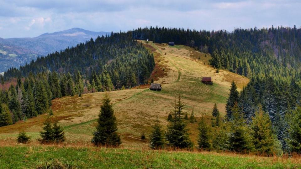 Wasielowka *